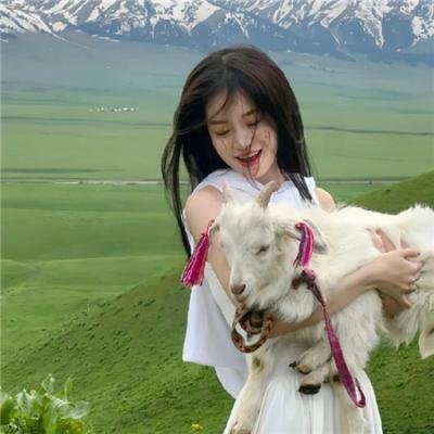 小马宝莉：那部电影